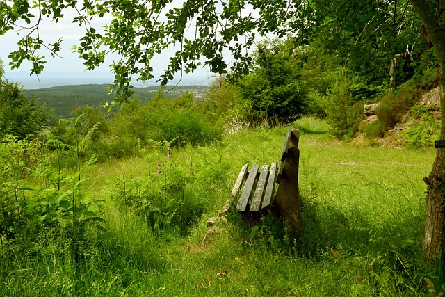 船在进攻端 船在进攻端