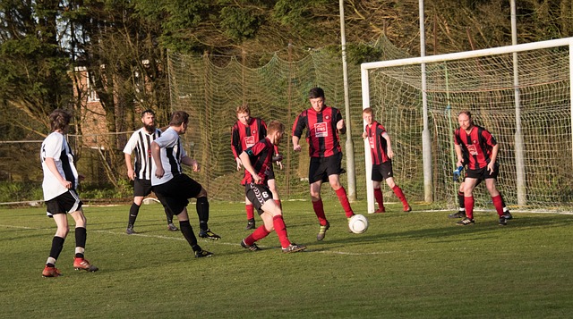 的结构面临 的结构面临
