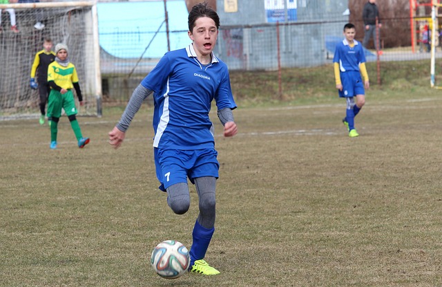 这家公司提 这家公司提